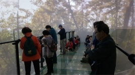청전동행정복지센터, 저소득 어르신 문화체험 나들이