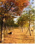 서울시, 가을날 걷기 좋은 한강 산책길 BEST5 소개