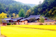 안동호의 숨겨진 비경 안동선비순례길