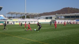 꿈나무축구 대제전! 보은군에서 개최