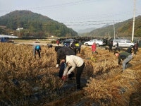 괴산군 농업기술센터, 농업인과 늘 함께합니다