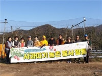 전옥주 박사의 세상사는 이야기, 사과따기 농촌 봉사활동