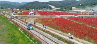 하동군, 수능생 짚와이어·레일바이크 할인 이벤트