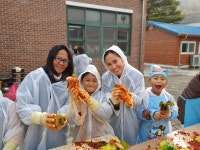 단양 대가초, 김장 체험활동 및 학부모 참여 교육과정 수립 실시