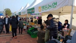 충북혁신도시, 로컬푸드와 함께하는 문화 플리마켓