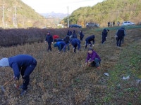 단양장례봉사회 | 단양교육지원청, 농촌 사랑나눔 봉사활동 실시