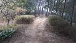 성화갓골공원 녹지관리사업 준공