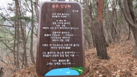 [포토특집] 옥천군, 시(詩)와 함께 걷는 향수호수길