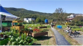 대구시, 가족과 함께 텃밭에서 행복키우기