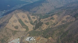 충남도 친환경 벌채 모범사례 제시한다