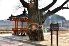 옥천 9경, 구읍 문화유산이 살아 숨 쉬는 마을