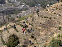 하동군, 세계농업유산 화개골 정금차밭 보존관리 총력