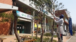 서원도서관 인근 거주 시민 소나무 전정 작업 재능기부