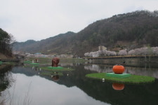 옥천 2경, 옛 37번 국도변 벚꽃 길