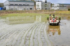 금성설비사;금성농자재 | 영산강 시원의 청정지역 담양, 첫 모내기 실시
