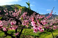 [영상 /포토]  영동군 상촌면 고자리 도마령을 찾아서