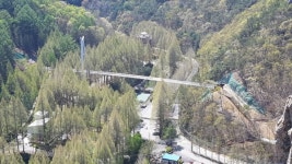 장태산 자연휴양림 내 출렁다리새 단장