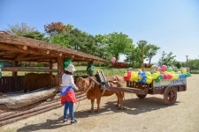 제천시, 삼한의 초록길 동심 가득한 관광자원으로
