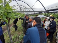 천안시농업대학, 샤인머스켓 과정 현장교육