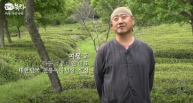 하동1다원 1홍보 영상유튜브 띄운다