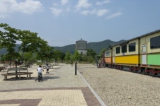 영동군 추풍령급수탑공원, 코로나19 달래는 장미꽃 활짝