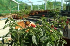 [명소탐방] 영동군, 힐링 공간 과일나라 테마공원