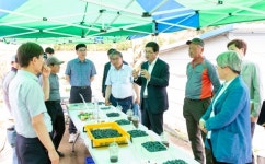 청양군 칠갑산 솔잎 블루베리 품평회 개최