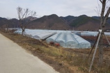 심천면 초강지구 배수개선사업 국비 28억 확보