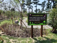 제주시조천중학교, 명상숲 조성 완료