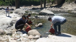 하동지역 저수지 4곳에 어린 쏘가리 방류