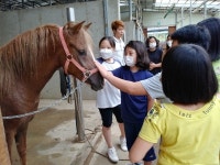옥천 군서초, 자신감·집중력·판단력 UP 힐링 승마 교실 운영