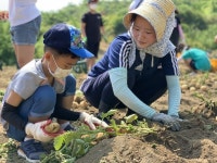 감물초, 지역사회기부로 감자프로젝트 훈훈한 마무리
