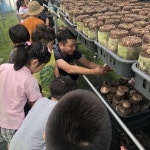 음성군, 우리 마을 문화놀이터로 놀러오세요