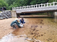 보은군 속리산면, 상판리와 사내리 일원에 붕어 치어 방류