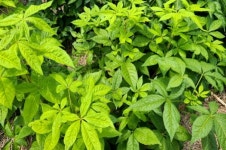 홍천 e신선농장, 옥수수부터 볏짚 공예품 까지 옛 추억 그대로