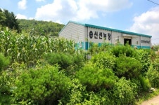 홍천 e신선농장, 옥수수부터 볏짚 공예품 까지 옛 추억 그대로