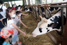 하동 적량초, 오감으로 즐기는 하동사랑 오감길 체험