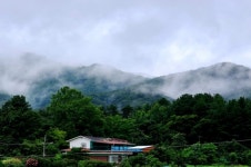 [영상 / 포토 ] 행안부, 영동군 노근리 사건 70주년 기념식