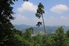 [힐링명소] 옥천군 안남면, 화인 산림욕장!