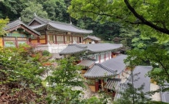 [사찰순례] 오대산 중대사자암 적멸보궁