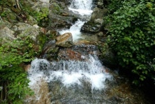 [사찰순례] 오대산 중대사자암 적멸보궁
