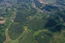 영동군, 산지에 무분별한 태양광발전시설 더 이상 없다