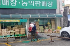 와부농약사 | 옥천군 이장협의회, 코로나 철통방역에 앞장