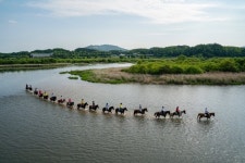 충북도, 2021 말산업 육성 공모사업 선정 쾌거
