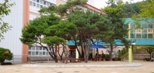 하동 한다사중,  건강한 맨발 길 힐링 정원 설치