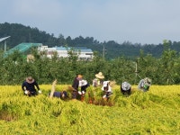 충북도 문화체육관광국, 음성군 소이면 찾아 구슬땀
