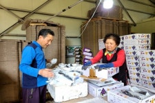 [포커스] 영동군, 황산포도마을 김종기 위원장