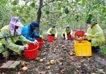 충북농기원, 보은군에서찾아가는 농촌현장병원운영