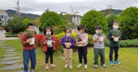 옥천 삼양유치원, 지친 마음 원예체험으로 힐링했어요