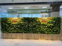 청주시, 공기정화식물 활용한 그린오피스 시범운영호평